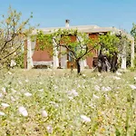 Nanni Gallipoli