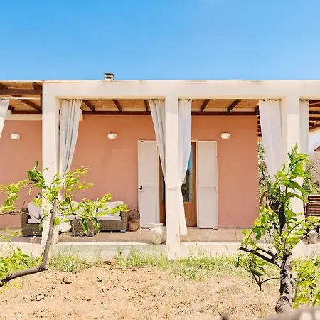 Nanni * גאליפולי